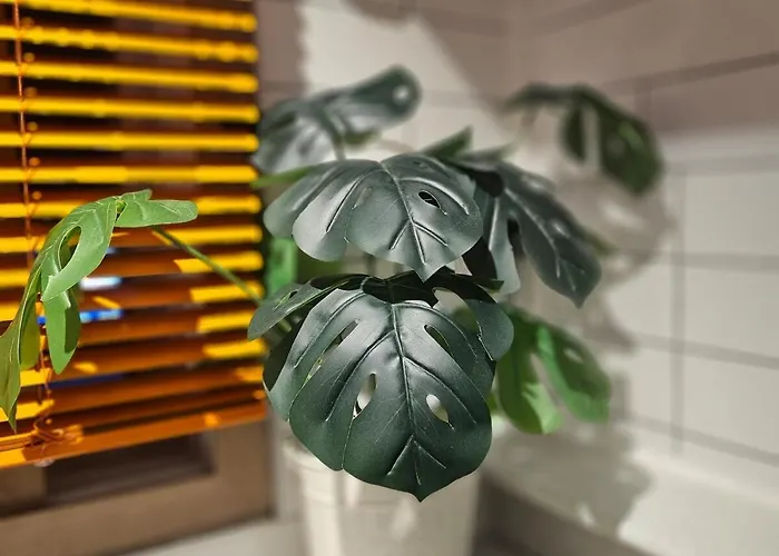 Jj Nest 2f, Full Of Sunlight, 3 Minutes To The Subway *